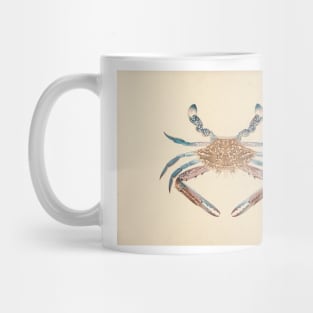 Portunua pelagicus (Blue Crab) by Luigi Balugani Mug